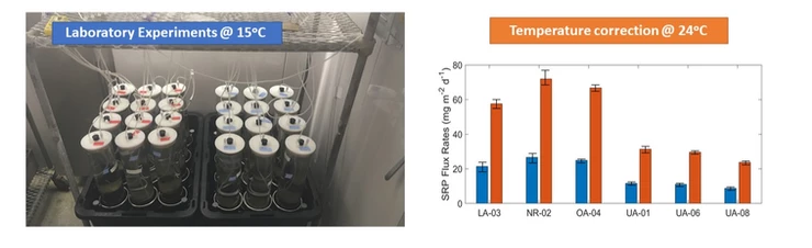 Sediment laboratory experiment in fall 2019 on left. Comparison of the rate of phosphorus release from the sediments under cold temperatures and the theoretical values under warm temperatures on right. Credit: Nick Framsted