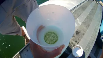 Field filtering for phytoplankton
