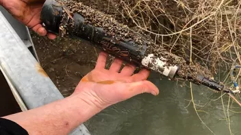Removing accumulated sediment from Scotts Creek turbidity probe